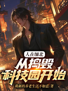 精彩章节阅读人在缅北，从捣毁科技园开始(韩潇)免费小说在线看