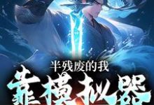 半残废的我，靠模拟器重获新生大结局，许系小说无广告阅读-冰糖文学
