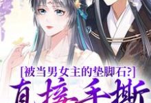 被当男女主的垫脚石?直接手撕剧本免费阅读,云子娆墨苍澜大结局无弹窗-冰糖文学