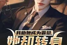 我助她成为霸总,她却转身不要我了热门小说(陆寒楚若烟)在线阅读无弹窗-冰糖文学