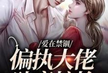 爱在禁锢：偏执大佬肆意掠抢热门小说(傅镇龙何雪)在线阅读无弹窗-冰糖文学