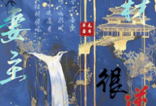 求助这本废材妻主很逆天小说在哪里可以看完结版-冰糖文学