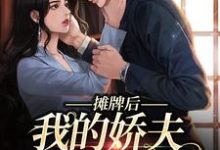 摊牌后，我的娇夫变小弟（主角南烟傅靳司）完结版免费阅读-冰糖文学