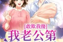完结版敢欺我傻？我老公第一个不答应在哪免费看，叶小珍谢林安小说在线阅读-冰糖文学