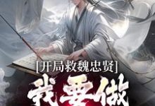 朱由检小说免费阅读最新章节列表,开局救魏忠贤,我要做宫斗冠军小说在线看-冰糖文学