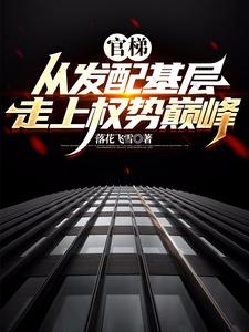 小说官梯：从发配基层走上权势巅峰主角杨飞方婷免费阅读