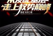 官梯:从发配基层走上权势巅峰(杨飞方婷)完结版免费阅读-冰糖文学