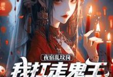 昊昆小说免费阅读最新章节列表,夜宿乱坟岗,我扛走鬼王漂亮新娘小说在线看-冰糖文学