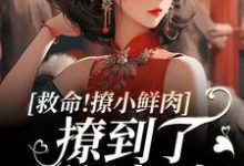救命!撩小鲜肉撩到了顶级权贵!免费阅读,李善大结局无弹窗-冰糖文学