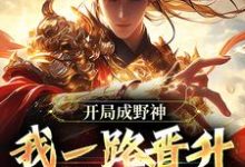求助这本开局成野神,我一路晋升成大道小说在哪里可以看完结版-冰糖文学