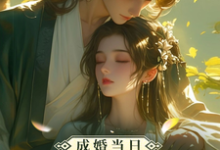成婚当日我改嫁未来权臣！热门小说(顾景怀秦知知)在线阅读无弹窗-冰糖文学