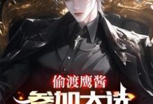 偷渡鹰酱，参加大选不过分吧？大结局，赵峰小说无广告阅读-冰糖文学