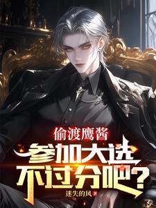 偷渡鹰酱，参加大选不过分吧？精彩章节在线免费阅读（赵峰）