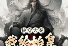 快穿大秦：我给始皇当左相热门小说(秦牧)在线阅读无弹窗-冰糖文学