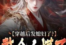 穿越后发媳妇了？整个人懵了完结版萧辰免费阅读大结局-冰糖文学