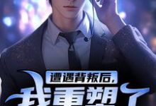 遭遇背叛后，我重塑了人身免费阅读，陈哲大结局无弹窗-冰糖文学