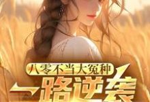 小说八零不当大冤种,一路逆袭你急啥主角许白免费阅读-冰糖文学