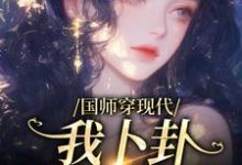 精彩章节阅读国师穿现代,我卜卦算命爆红(沈确沈禾)免费小说在线看-冰糖文学