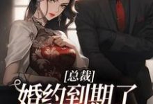 精彩章节阅读总裁，婚约到期了，麻烦请放手(姜涵宁秦耀)免费小说在线看-冰糖文学