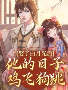 完结版娶了白月光后，他的日子鸡飞狗跳在哪免费看，盛栖月萧玉衡小说在线阅读