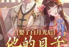 盛栖月萧玉衡在线阅读，娶了白月光后，他的日子鸡飞狗跳小说完结版章节-冰糖文学