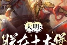 大明：朕在土木堡杀疯了完结版朱祁镇免费阅读大结局-冰糖文学