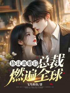 协议离婚后，总裁燃遍全球最新章节协议离婚后，总裁燃遍全球在线阅读