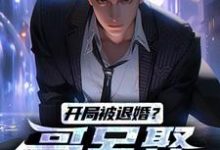 开局被退婚?哥另娶白富美精彩章节在线免费阅读(楚风甄姬)-冰糖文学