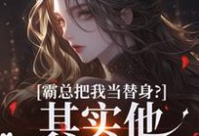 霸总把我当替身？其实他也是替身！精彩章节阅读(沈落姻叶希诀)免费阅读大结局-冰糖文学