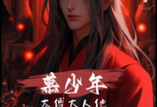 慕少年：太傅大人他风华绝代热门小说(宁绝安崇邺)在线阅读无弹窗-冰糖文学