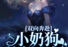 双向奔赴,小奶狗他超心机(姜以宁贺驰)最新章节免费阅读-冰糖文学