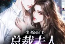 时今棠萧京野最新章节列表拒嫁豪门,总裁夫人带球跑免费阅读-冰糖文学