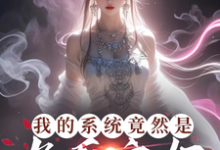 叶沐枫在线阅读，我的系统竟然是九天玄女小说完结版章节-冰糖文学