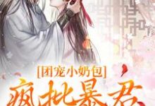 团宠小奶包，疯批暴君沉迷养崽（萧璟月萧永乾）最新章节免费在线阅读-冰糖文学