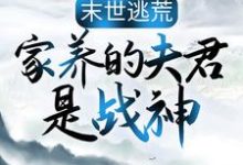 跪求主角是苏婳秦宿的小说书名叫什么-冰糖文学