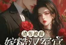 小说渣男被抢，嫁糙汉军官养崽躺赢（唐念欢魏长风）最新章节在哪看-冰糖文学