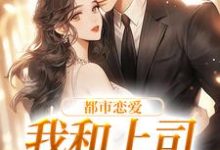 都市恋爱:我和上司he了无弹窗宋谨言苏念念最新章节列表-冰糖文学