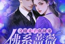 小说京圈太子强制宠，佛系蔷薇怀里娇主角林北免费阅读-冰糖文学