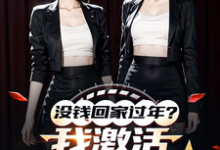 没钱回家过年?我激活0元购系统(主角陈东林雨桐)完结版免费阅读-冰糖文学
