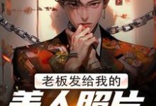 完结版老板发给我的美人照片是老板娘在哪免费看,林江宇小说在线阅读-冰糖文学