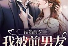 主人公是薄寒深曲南枝的小说结婚前夕，我被前男友带走了免费阅读-冰糖文学