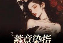 主角是沈行川桑妩的小说蓄意染指：大佬病态缠欢在哪免费看-冰糖文学