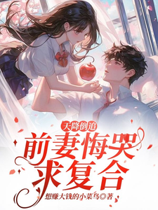 天降倒追，前妻悔哭求复合免费阅读，李沐风大结局无弹窗