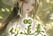 主神，你追妻又失败了？大结局，夏溪苏礼小说无广告阅读-冰糖文学