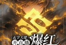 玄学大佬开直播,爆红阴阳两界大结局,虞初见孟白首小说无广告阅读-冰糖文学