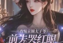改嫁京圈太子爷,前夫哭红眼求我别嫁完结版林江宇免费阅读大结局-冰糖文学