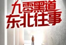 九零黑道东北往事精彩章节阅读(沈从文林佳)免费阅读大结局-冰糖文学