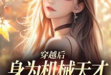 小说穿越后，身为机械天才的我一心进步主角曾梨池席律免费阅读-冰糖文学