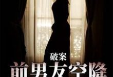 主角是祝岁喜秦时愿的小说破案:前男友空降成了我上司在哪免费看-冰糖文学
