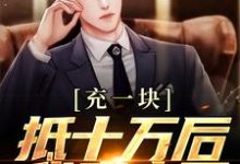 充一块抵十万后,我赢麻了精彩章节在线免费阅读(沐青阳陈琪雯)-冰糖文学
